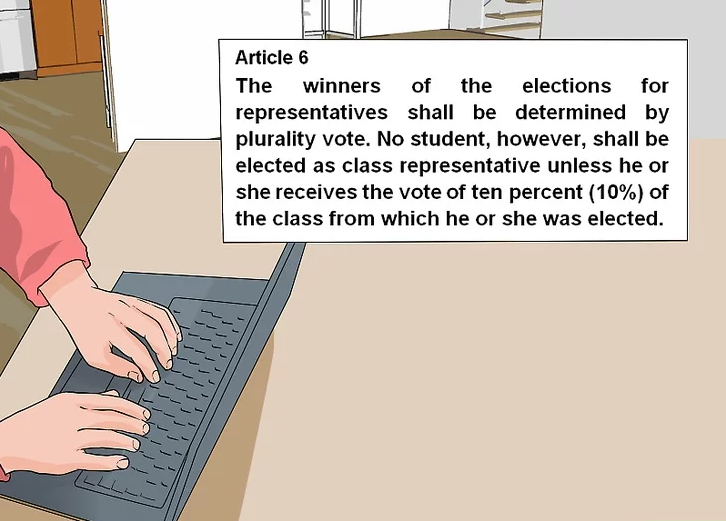 Write the rules on elections, appointments, and removal of officers