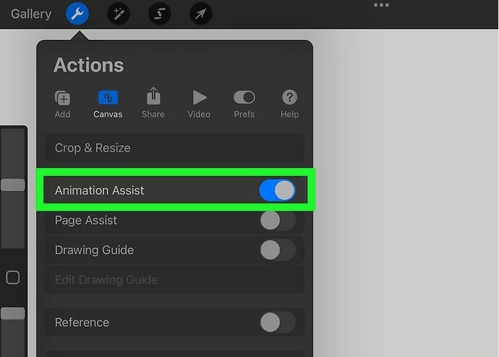 Toggle on “Animation Assist”