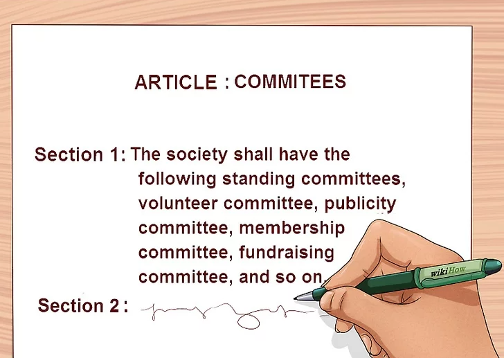Write the Committee's Article
