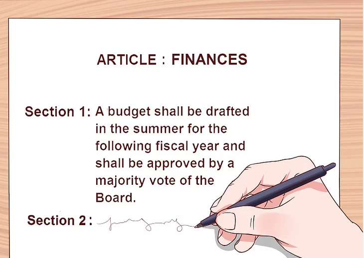 Draft the Finances Article