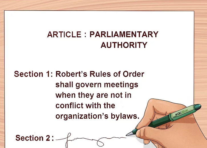 Write the Parliamentary Authority Article