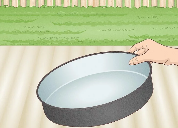 Choose a Mold for Your Stepping Stone