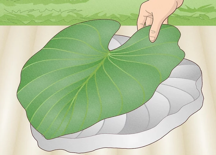 Remove the Leaf Once the Concrete Has Dried