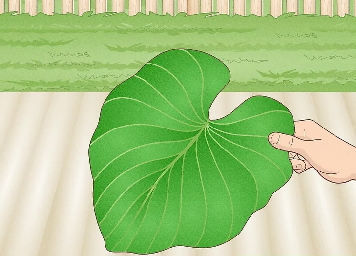 Choose a Large, Sturdy Leaf for Your Base
