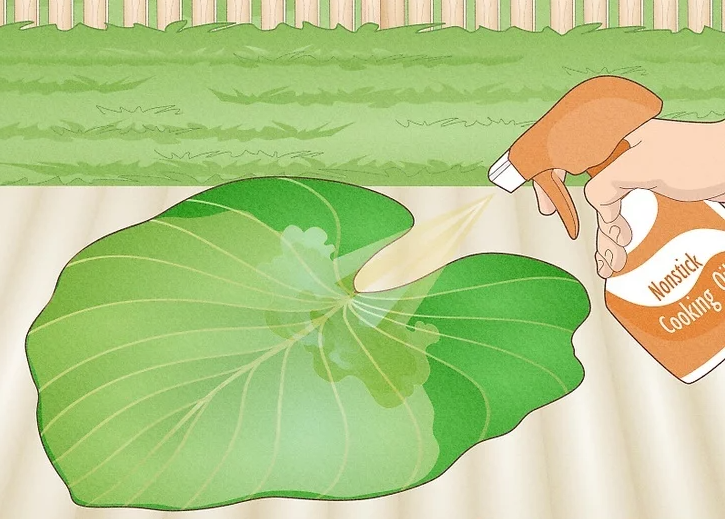 Spray the Front of the Leaf with Nonstick Cooking Spray
