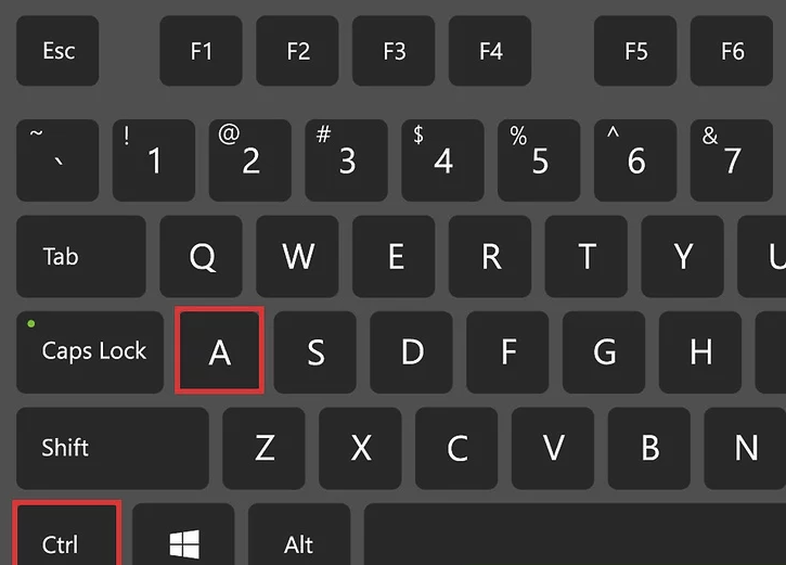 Step 5: Select All CD Tracks