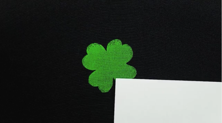 Step 6: Remove the Screen and Cure the Print