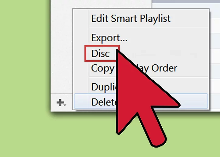 Step 9: Import the CD