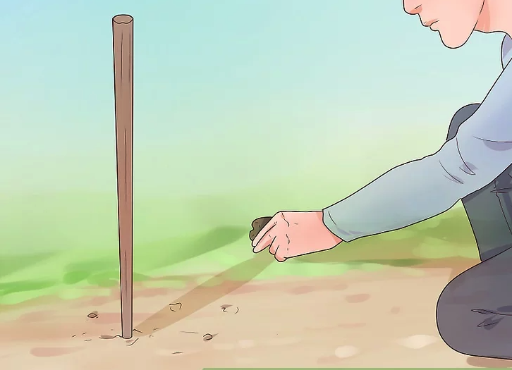 Step 2: Plant your stick upright in the ground
