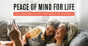 Dividend Investing for Beginners: The Ultimate 2026 Guide to Passive Income