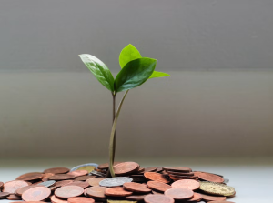 Dividend Investing for Beginners 2026: Complete Step-by-Step Guide